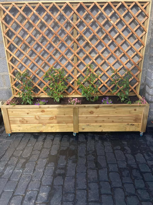 🌿 Springtime Creativity: Custom Planters and the Power of Planning 🌿